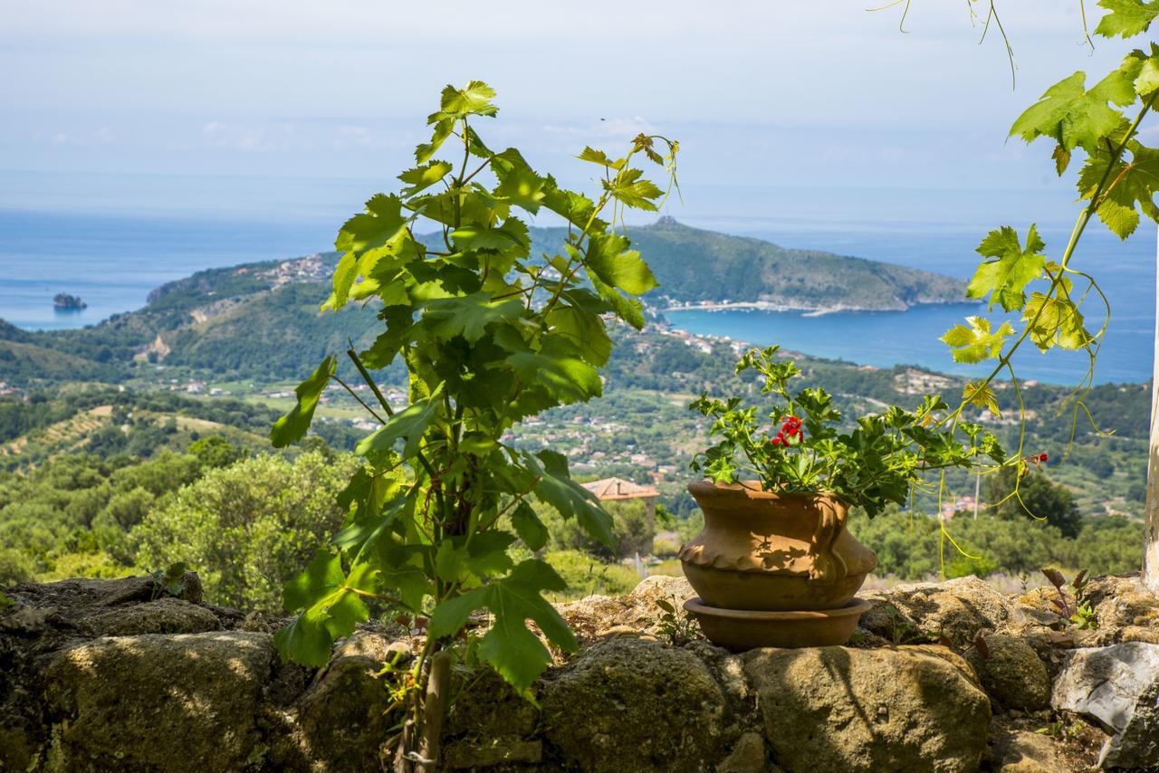 Il Castello Di San Sergio Чентола Екстериор снимка